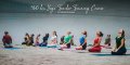 Yoga Teacher Training in Rishikesh India â€“ Vinyasa Yoga Ashram