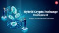 Top-Rated Hybrid Crypto Exchange Development: Kryptobees