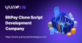 BitPay Clone Script for Next-Generation Crypto Payments